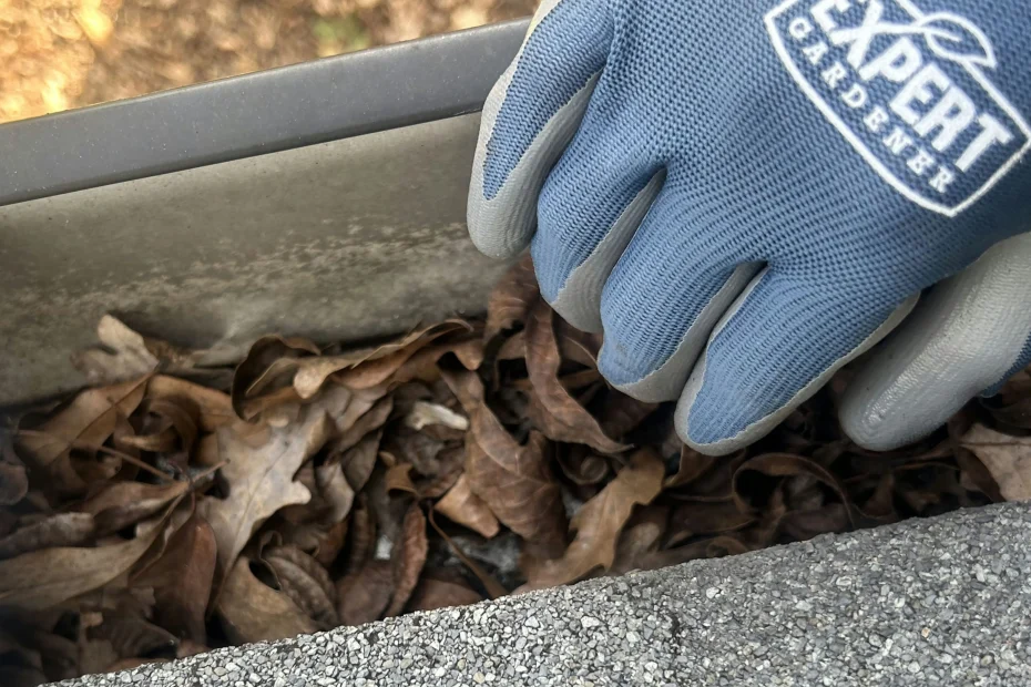 Windsor Gutter Cleaning